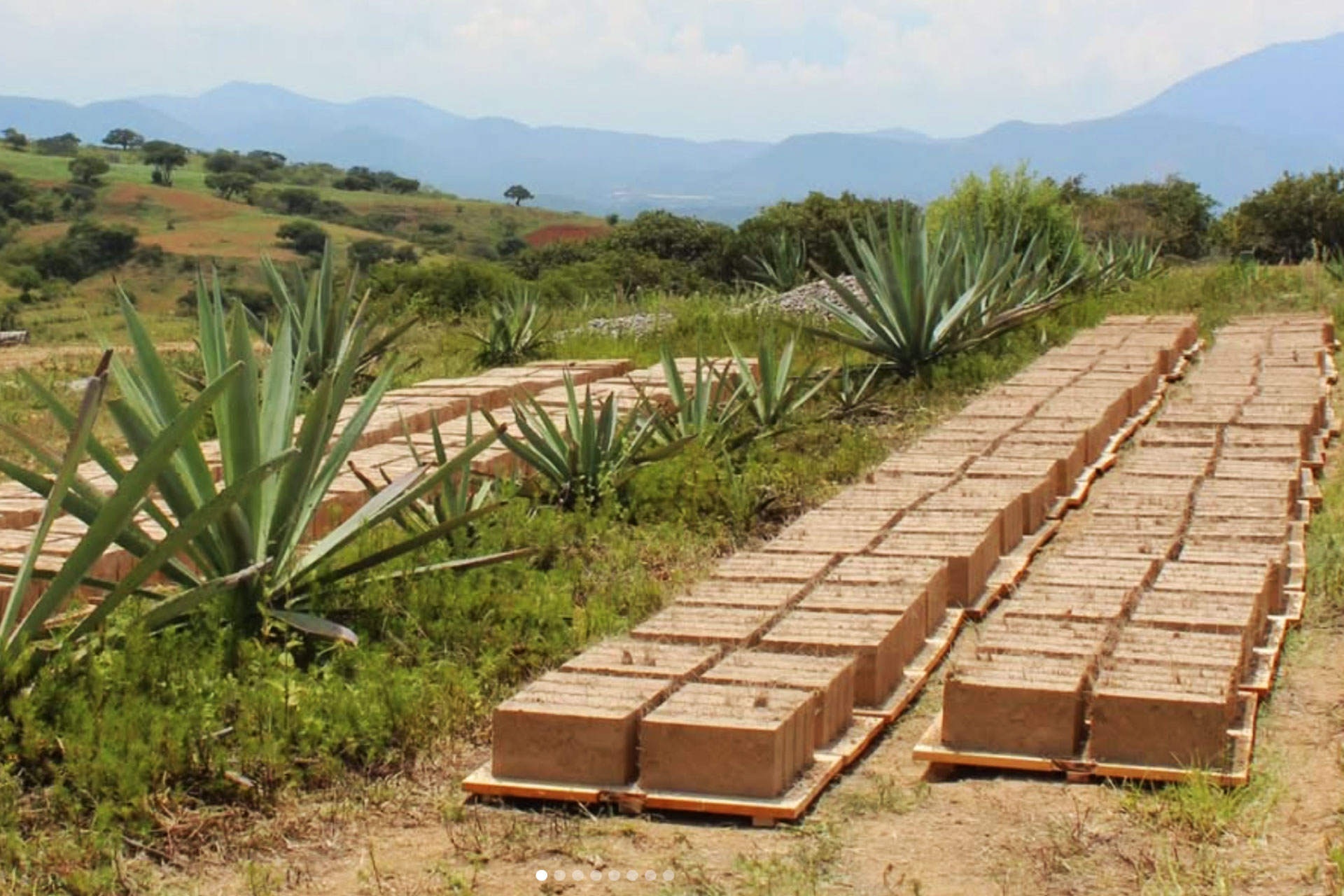 construcción mezcal