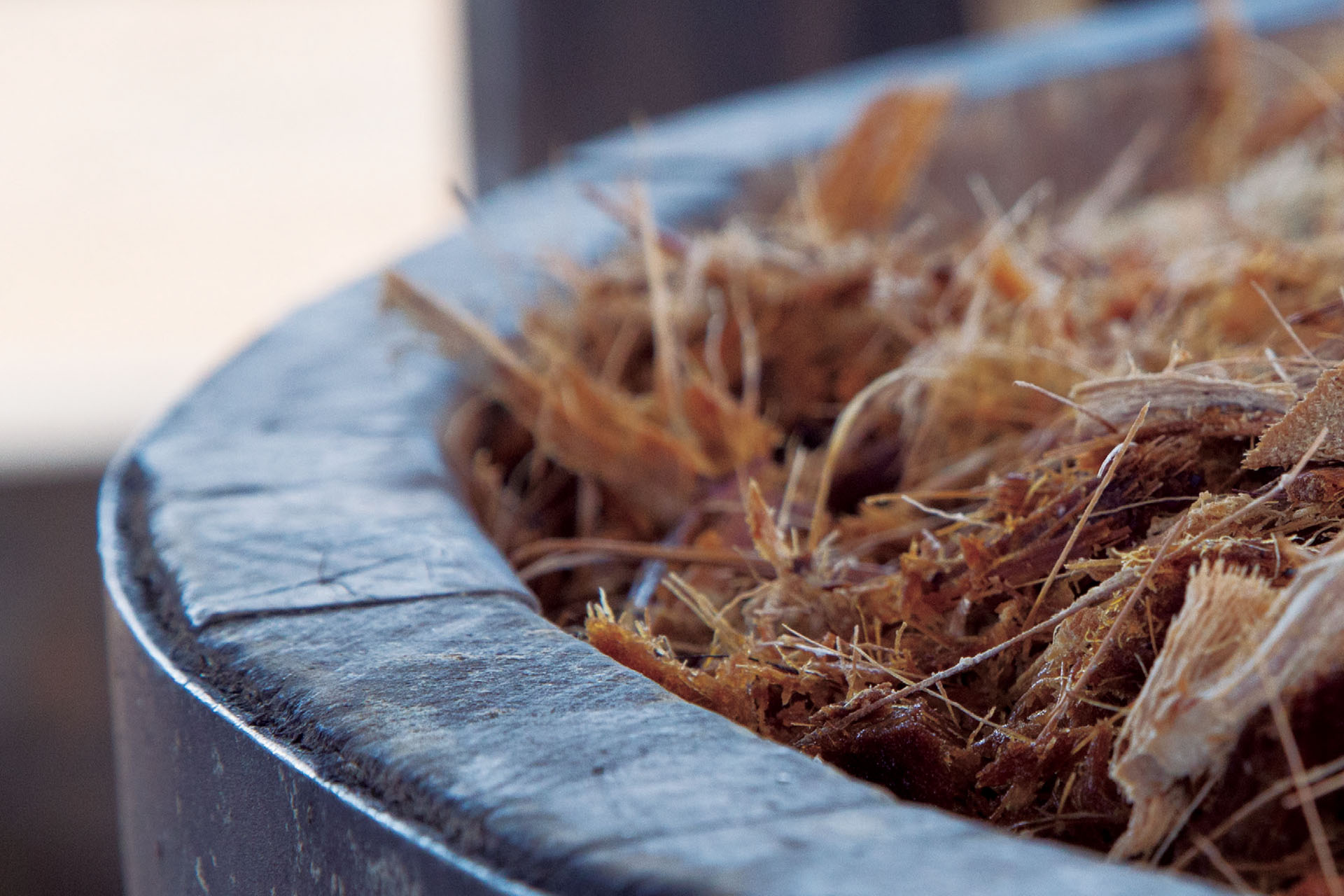 construcción mezcal